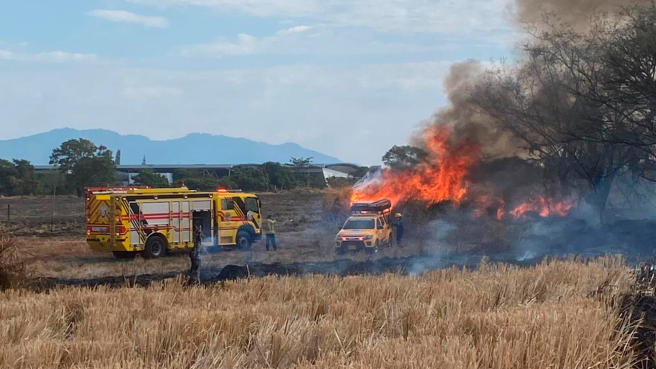 14 incendios